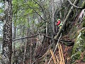 A North Shore Rescue helicopter and rope rescue teams saved a hiker stranded on a cliff on the backside of Mount Fromme on Saturday, Nov. 4, 2023.