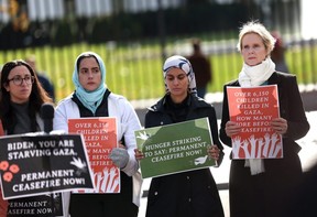 Actress Cynthia Nixon speaks as she announces a hunger strike calling for a ceasefire in Gaza outside the White House in Washington, D.C., Monday, Nov. 27, 2023.