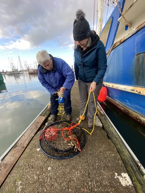 Local naturalist Marty Giles (left) and Sara Shantz collect their crab collection on the dock in Charleston. IAN SHANTZ/TORONTO SUN