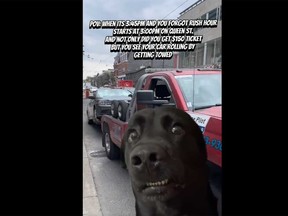 Toronto Parking Enforcement Officer Erin Urquhart posted a hilarious 14-second video on X on Tuesday featuring various poses of an alarmed looking black dog