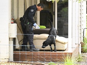 A police officer and dog investigate