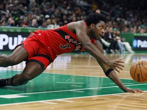 Toronto Raptors' O.G. Anunoby looses control of the ball during the first half of an NBA basketball game against the Boston Celtics, Saturday, Nov. 11, 2023, in Boston.