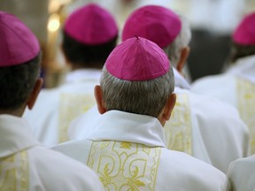 Bishops of France attend a mass