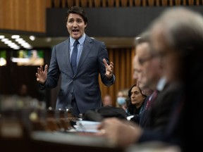 Prime Minister Justin Trudeau rises during Question Period, Wednesday, November 29, 2023 in Ottawa.