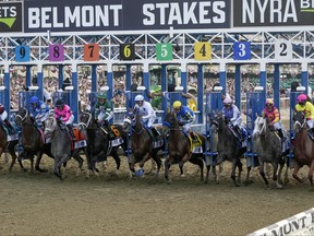 The field breaks from the starting gate in the 155th running of the Belmont Stakes in 2023.