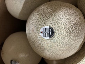 The sticker on a Malichita brand cantaloupe is pictured in this photo provided by Health Canada.