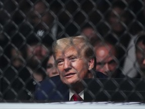 Former president Donald Trump waits for the start of the lightweight bout between Matt Frevola and Benoit Saint Denis, of France, at the UFC 295 mixed martial arts event Saturday, Nov. 11, 2023, in New York.