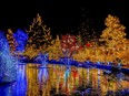 Christmas illuminations in a park around a pond at night