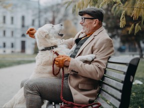 A happy senior man sitting on bench during dog walk as dog jumps up on him.