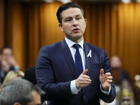 Pierre Poilievre during question period