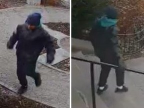 A woman sought by Toronto Police in an attempted child abduction investigation.
