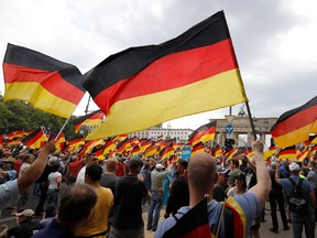 Alternative for Germany demonstrators