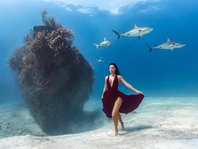 Woman in burgundy dress, walking along ocean floor as sharks swim around her.