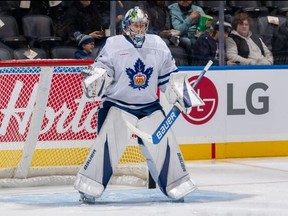 Marlies goaltender Luke Cavallin looks on during Tuesday's game at Scotiabank Arena.