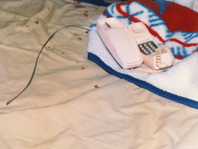 The phone line was cut and the killer left bloody fingerprints on the pink princess phone. MSP