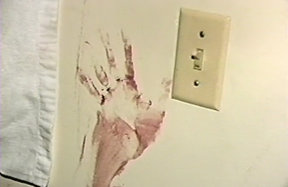 There was no shortage of physical evidence. MSP