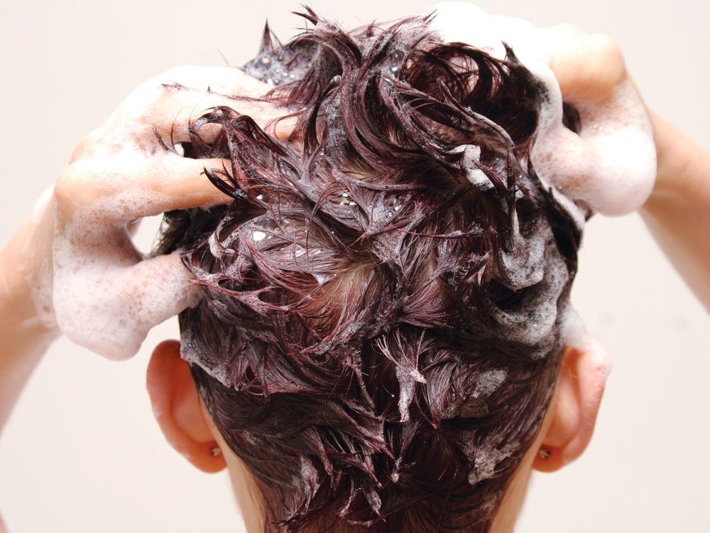 Will going outside in the cold with wet hair make you sick? Toronto Sun