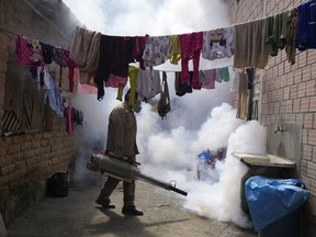 A health worker fumigates