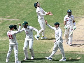 Australia's David Warner (left) celebrates a catch to dismiss Pakistan's Mohammad Rizwan.