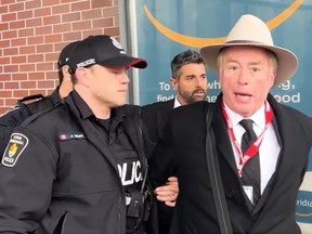 David Menzies, a reporter with Rebel News, was arrested while trying to ask Deputy PM Chrystia Freeland questions in Richmond Hill on Monday.