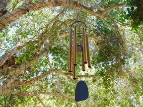 A reader is bothered by a neighbour's wind chimes.