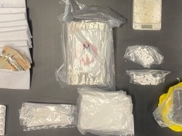 Police in Halton seized a large quantity of drugs this week and arrested a Mississauga man.