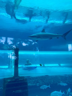 For the Serpent Slide, Atlantis guests ride a tube down the Mayan Temple's core and emerge in a clear tunnel in a lagoon with sharks and other marine life. CYNTHIA MCLEOD/TORONTO SUN