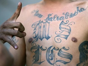 A member of the "Mara Salvatrucha" gang flashes the sign of his gang as he is presented to the press in San Salvador on September 7th, 2006, after his arrest last night. Some 130 gang members suspected of committing homicides were arrested last night during a police operation in different departments of the country.
