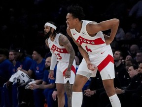 Raptors forward Scottie Barnes (right) winces while holding his lower back during first half NBA action against the Knicks in New York City, Saturday, Jan. 20, 2024.