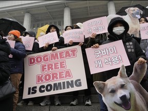 Animal rights activists attend a protest rally supporting the government-led dog meat banning bill at the National Assembly in Seoul, South Korea, Tuesday, Jan. 9, 2024.