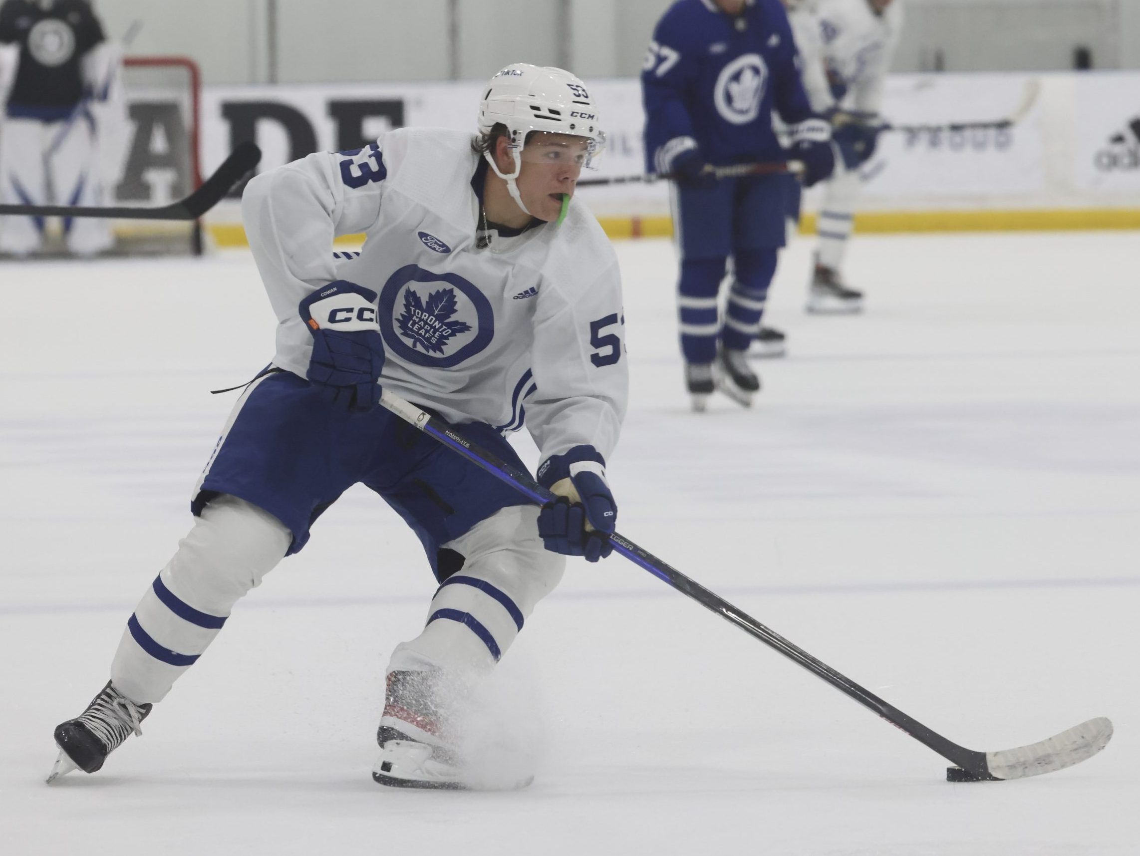 Easton Cowan 'has Leafs fan-favourite written all over him' | Toronto Sun