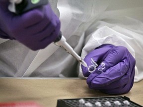 DNA testing is performed at a lab