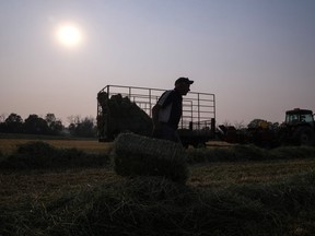 Farmer Randy Spoelstra carries a bale of hay as he works a field in Hamilton, Ont., Wednesday, June 7, 2023.