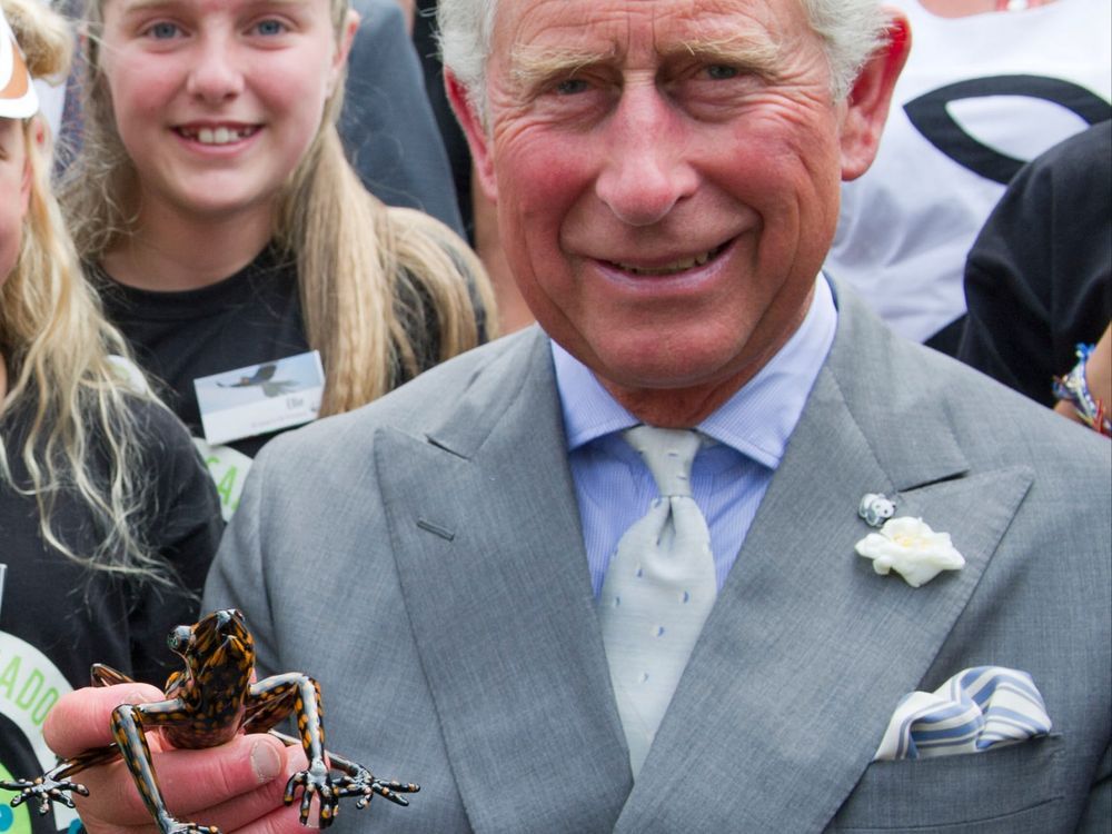 King Charles to undergo surgery for enlarged prostate Ottawa Sun