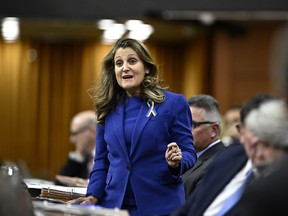Deputy Prime Minister and Minister of Finance Chrystia Freeland, rises during Question Period in the House of Commons on Parliament Hill in Ottawa on Tuesday, Nov. 28, 2023. Freeland says politicians have no say in the operational decisions made by police -- and that is why she has nothing more to say about the arrest of a Rebel News personality.