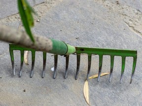A green metal rake.