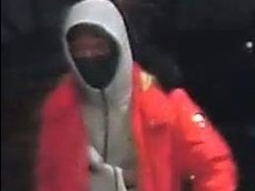 A breakj-and-enter suspect is pictured in a photo provided by Toronto Police.