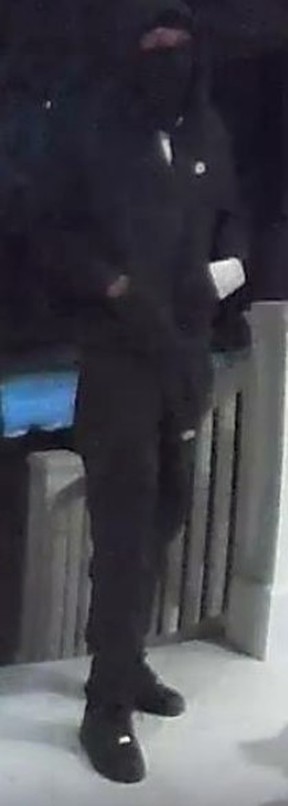 A break-and-enter suspect is pictured in a photo provided by Toronto Police.