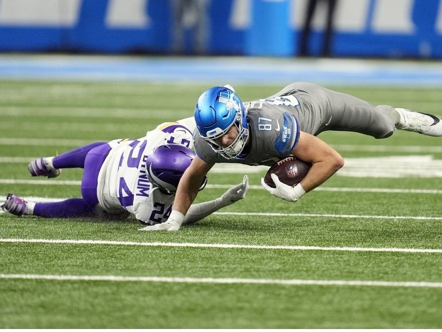 Lions Playoff-bound After 30-20 Win Over Vikings | Toronto Sun