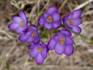 Spring Can t Come Soon Enough For 84 Per Cent Of Canadians POLL The 