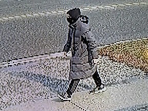 Suspect sought by police.