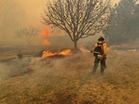 This handout picture courtesy of the Flower Mound Fire Department taken on Wednesday, Feb. 28, 2024, shows a firefighter battling the Smokehouse Creek Fire, near Amarillo, in the Texas Panhandle.