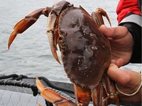 The province has launched a forfeiture claim linked to illegal crab sales.