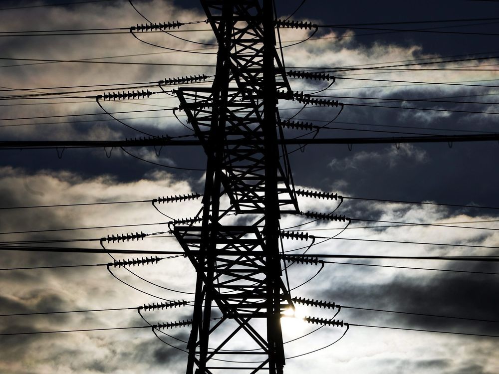 Hydro One blames raccoon after downtown Toronto power outage | Toronto Sun