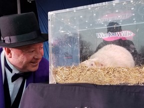South Bruce Peninsula Mayor Jay Kirkland bends down to confer with Wiarton Willie during Groundhog Day festivities in Wiarton, Ont., on Feb. 2, 2024.