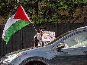 A pro-Palestinian demonstrator waves a flag.