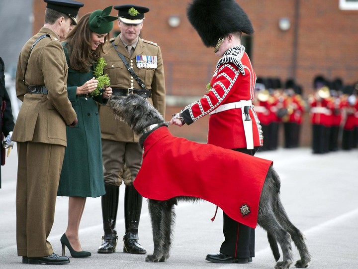  Princess Catherine, then the Duchess of Cambridge, presents a ‘shamrock’ to regimental mascot Domhnall during the St. Patrick’s Day parade at Mons Barracks on March 17, 2014, in Aldershot, England.