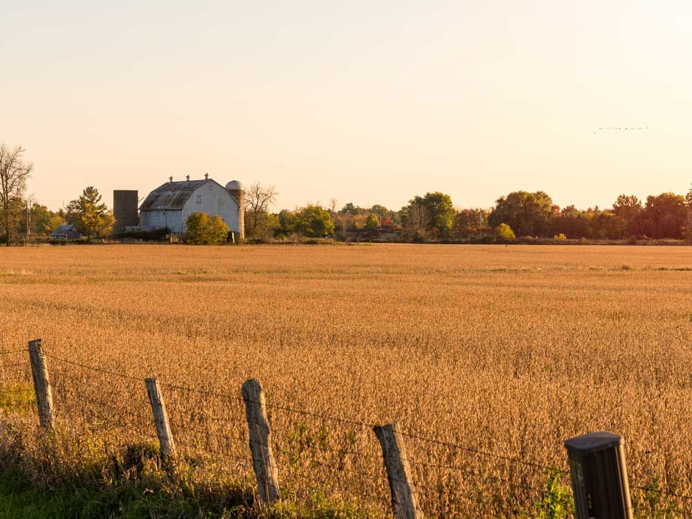 DEAR ABBY: Disturbing secret revealed as farmstead changes hands