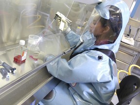 An expert works at the National Microbiology Laboratory in Winnipeg.