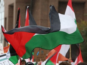 Palestinian flags
